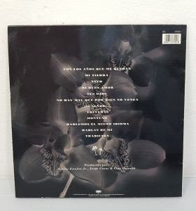 8-8-59596-1-Vinilo Gloria Estefan Mi tierra  2