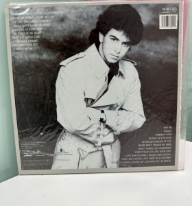 9-9-61061-1-Vinilo Glenn Medeiros