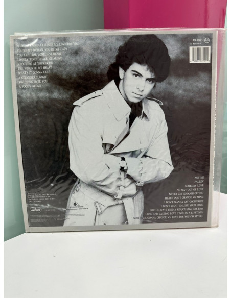 9-9-61061-1-Vinilo Glenn Medeiros