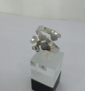 6-6-108582-1-anillo de plata 