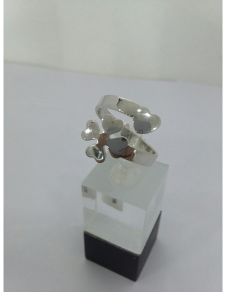 6-6-108582-1-anillo de plata 