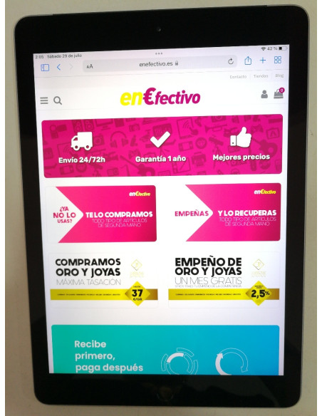 6-6-142676-2-iPad 6 LTE (2018) A1954 Gris espacial 32 GB