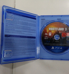 6-6-148944-1-Videojuego PS4 Wastelan 3 2