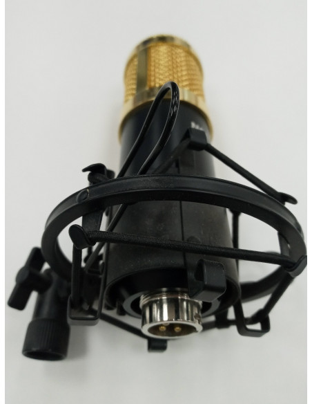 6-6-150268-2-Microfono Neever NW-800