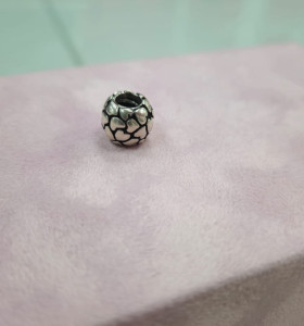 6-6-160755-1-Joyería Charm