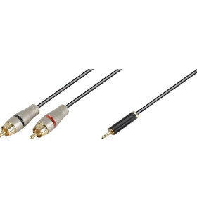 7-7-50917-1-LYD 022 3M Cable Minijack a 2 RCA