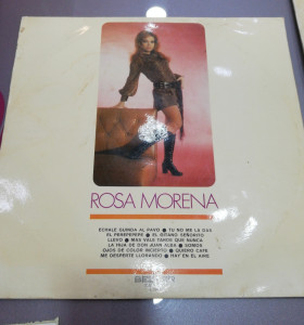 7-7-61947-1-Vinilo Rosa Morena