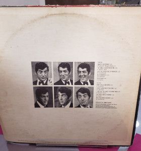 7-7-61990-1-Vinilo Dino party dolls and wine 2