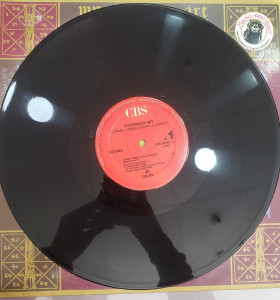 7-7-68602-1-vinilo mysterious art carma 2