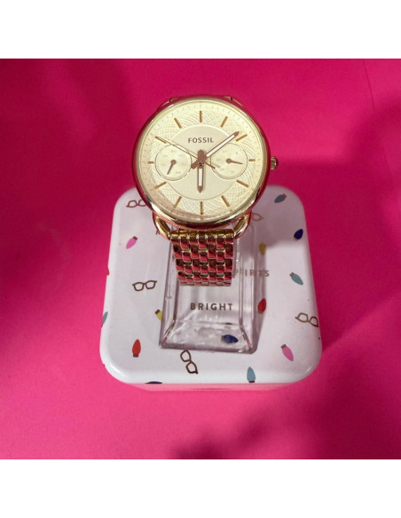 8-8-69222-1-Reloj Pulsera Señora Fossil ES3714