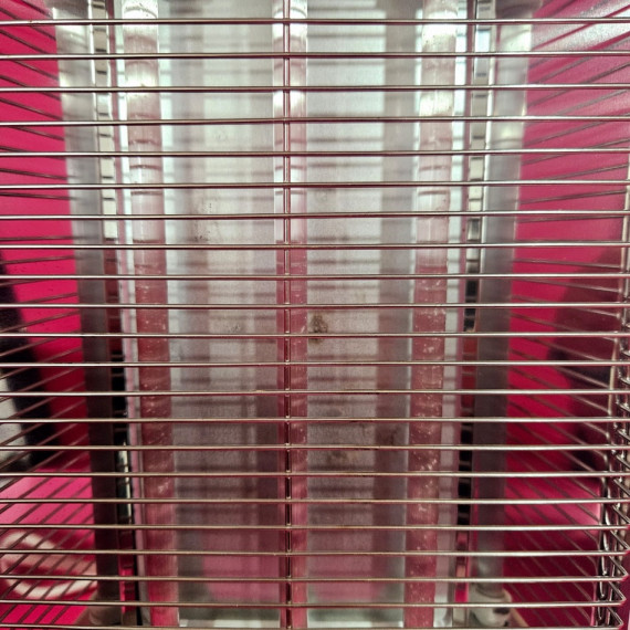 8-8-69989-10-Tostadora Taurus neptuno plus 900w