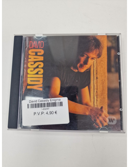 1-1-262097-1-David Cassidy Enigma