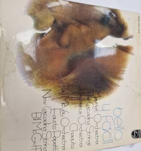 1-1-217944-1-Bello y Facil