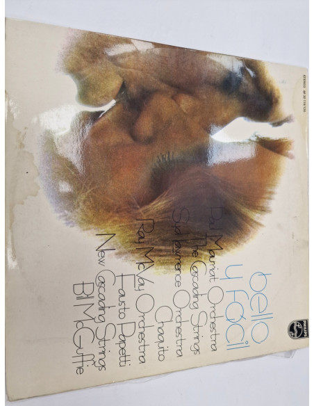 1-1-217944-1-Bello y Facil