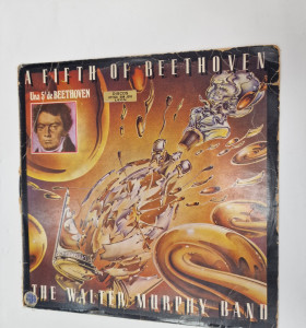 1-1-238239-1-una 5ª de beethoven 