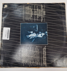 1-1-238239-1-una 5ª de beethoven  2