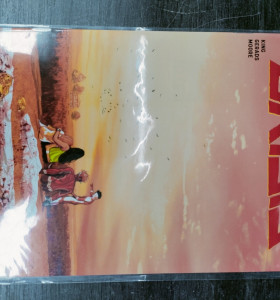 9-9-48104-1-Cómic Héroes en crisis n.8