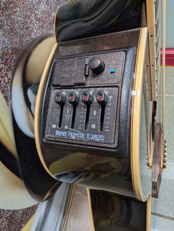 9-9-67067-4-Guitarra Electrica -acustica Takamine NPT-110-12 12