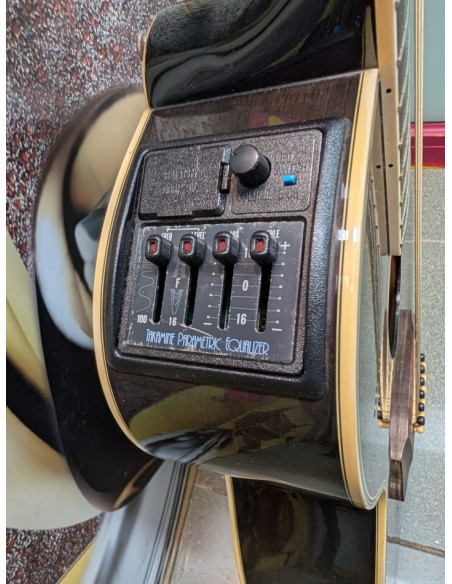 9-9-67067-4-Guitarra Electrica -acustica Takamine NPT-110-12 12