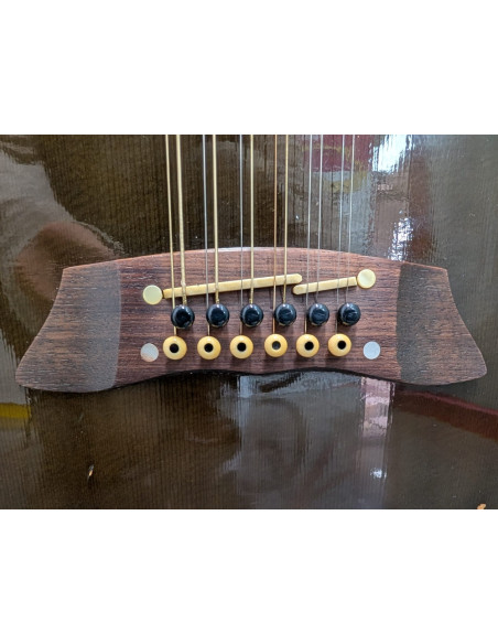 9-9-67067-6-Guitarra Electrica -acustica Takamine NPT-110-12 12
