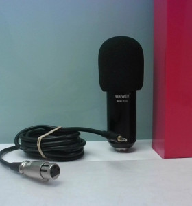 9-9-55392-1-Sonido Neewer Nw700