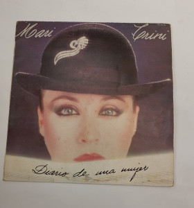 1-1-238275-1-Vinilo diario de una mujer