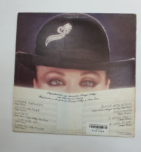 1-1-238275-1-Vinilo diario de una mujer 2