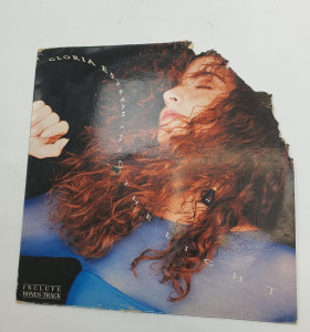 1-1-246847-1-Vinilo glori estefan into the light 