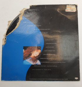 1-1-246847-1-Vinilo glori estefan into the light  2