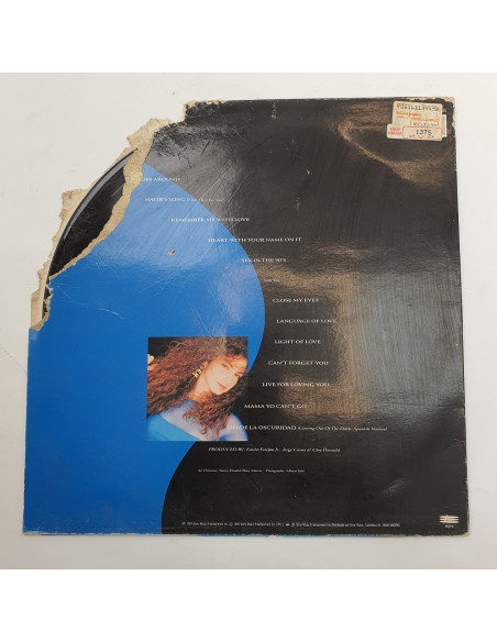 1-1-246847-2-Vinilo glori estefan into the light 