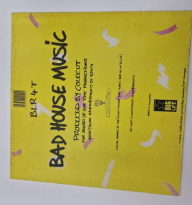 1-1-258860-1-Vinilo The Only Way Is Up Yazz And The Plasctic Population  2