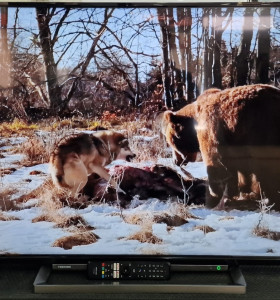 1-1-240196-3-Televisor LED smart Toshiba 55ua3d63dg