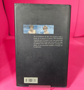 8-8-73097-1-Libro Gemelas (tessa de loo) 2