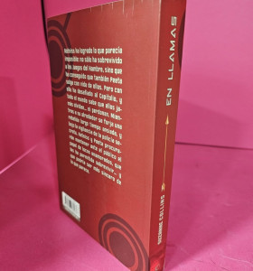 8-8-73125-1-Libro en llamas (suzanne collins) 2