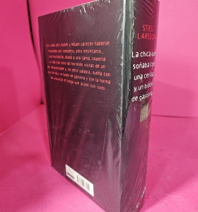 8-8-73119-1-Libro La Chica que soñaba con una cerilla y un bidón de gasolina 2
