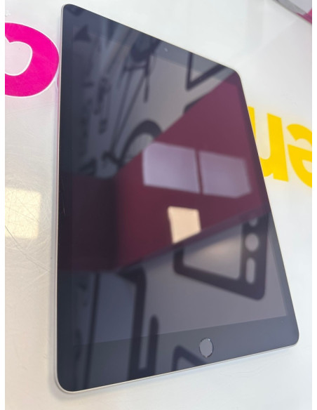 9-9-69228-6-IPad 9º Generacion 256gb Bat. 100