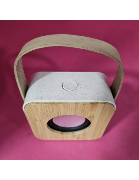 8-8-73800-2-Altavoz Portatil Bluetooth Bambu