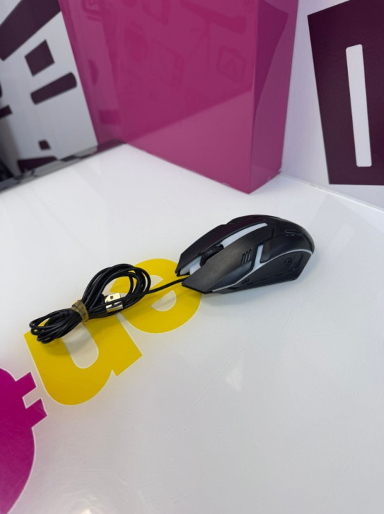 9-9-73946-2-Ratón lost control ale hop 