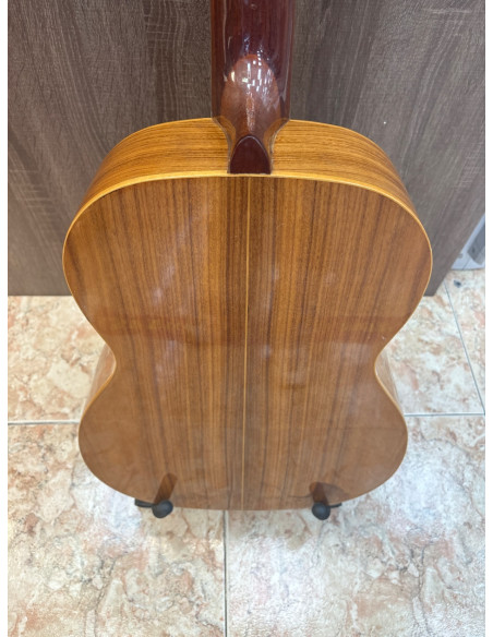 1-1-266543-4-Guitarra Clasica Giannini AWN60 