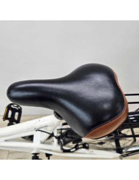 8-8-73336-13-Bicicleta Paseo Coutry 26 Equiped