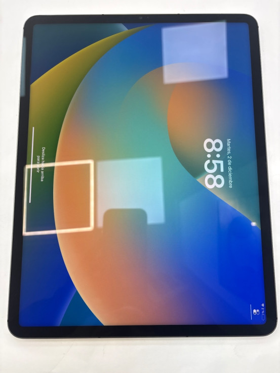 1-1-265611-2-iPad Pro 5 Generacion 12,9 256Gb 
