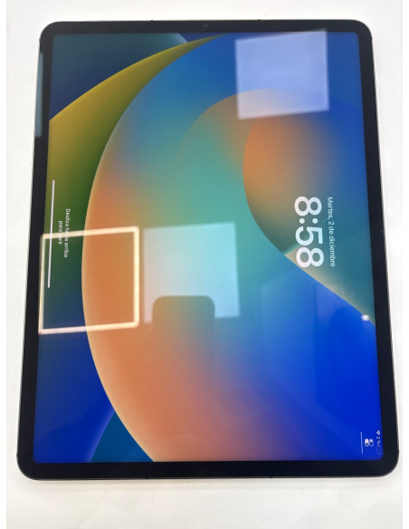 1-1-265611-2-iPad Pro 5 Generacion 12,9 256Gb 
