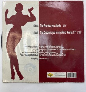 1-1-267567-1-Vinilo vinilo the promise you made 2