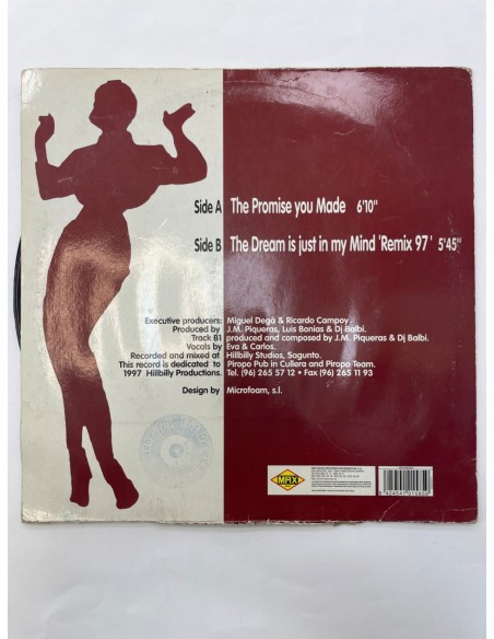 1-1-267567-2-Vinilo vinilo the promise you made