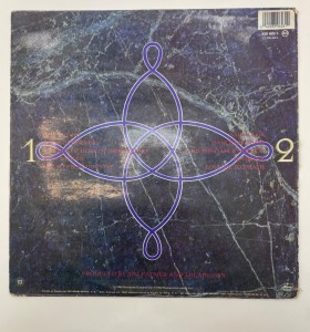 1-1-267566-1-Vinilo vinilo the mission gods own medicine 2