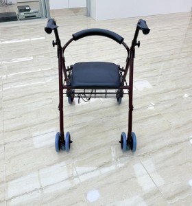 8-8-75251-1-Andador con Frenos 2