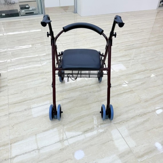 8-8-75251-2-Andador con Frenos