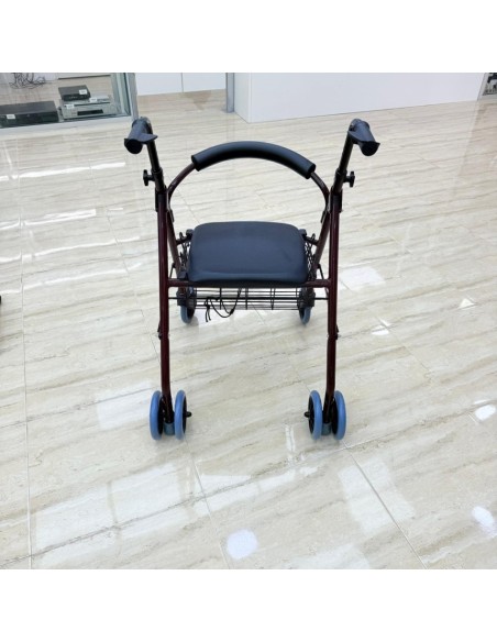 8-8-75251-2-Andador con Frenos