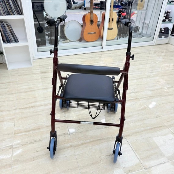 8-8-75251-3-Andador con Frenos