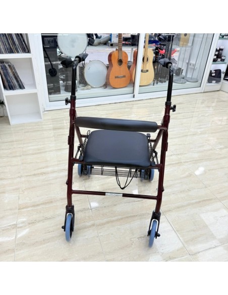 8-8-75251-3-Andador con Frenos